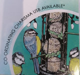Fay's studio Die Bluetits Birdfeeder