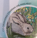 Fay's studio Rabbit Die