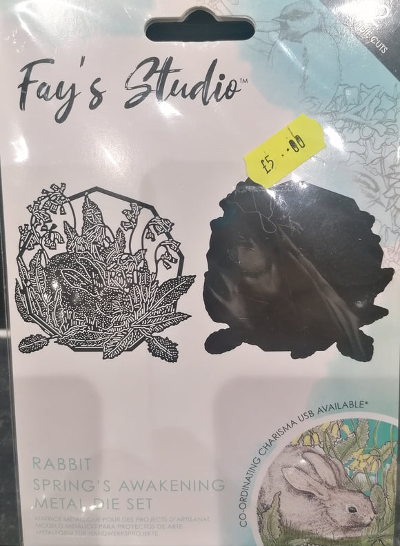 Fay's studio Rabbit Die
