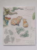 Sweet Design by Sally Anson In the amazon rainforest card kit