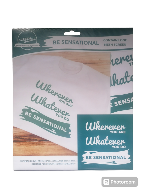 Screen sensations screen 23cm x 23cm SALE SALE SALE ONLY £1