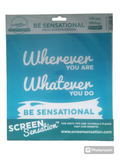 Screen sensations screen 23cm x 23cm SALE SALE SALE ONLY £1