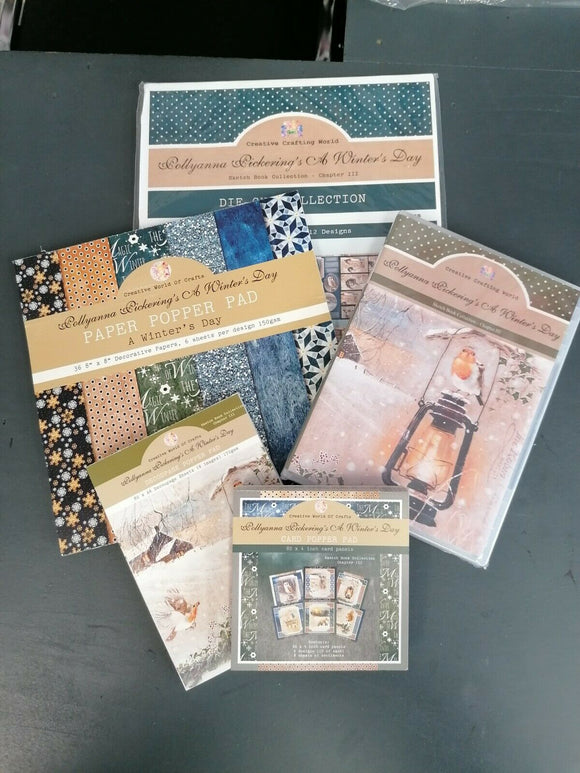 Pollyanna pickering a winters day full craft set
